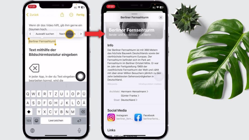 Die Funktion Nachschlagen im Kontextmenü des iPhones
